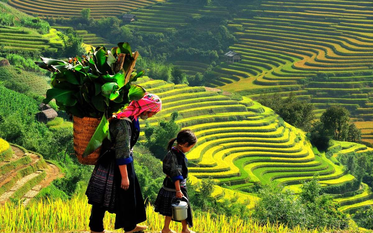 Ảnh tour Vịnh Hạ Long