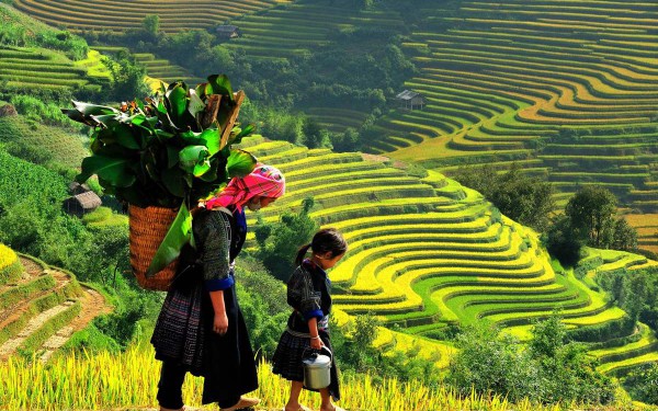 SAPA TOUR BY BUS 3 DAYS