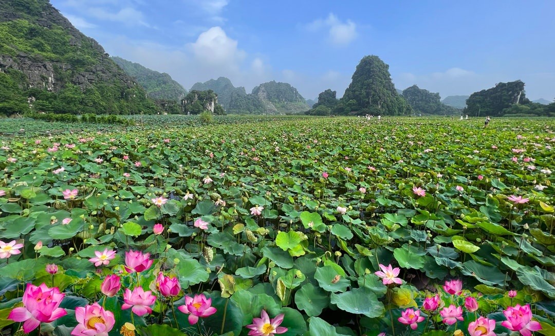 HÀ NỘI -NINH BÌNH 2 NGÀY 1 ĐÊM