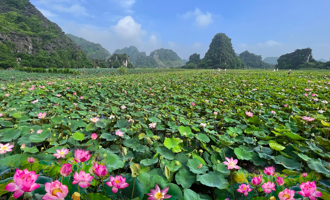 HANOI 5D4N PACKAGE: HA NOI- NINH BINH  – HALONG BAY  (SIC TOUR )