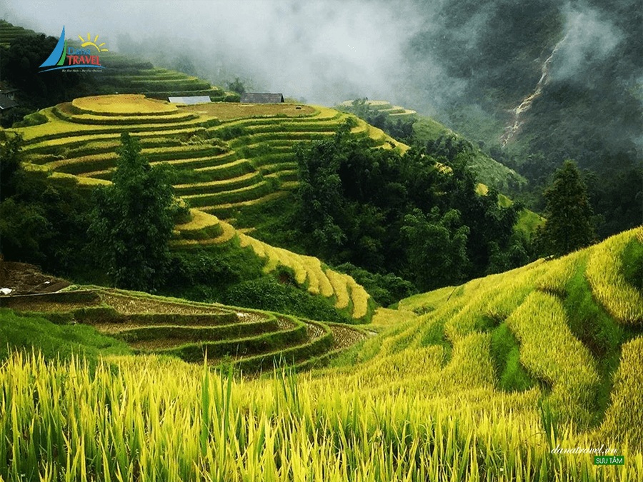 HÀ NỘI-SAPA - CÁT CÁT - FANSIPAN 3 NGÀY 2 ĐÊM
