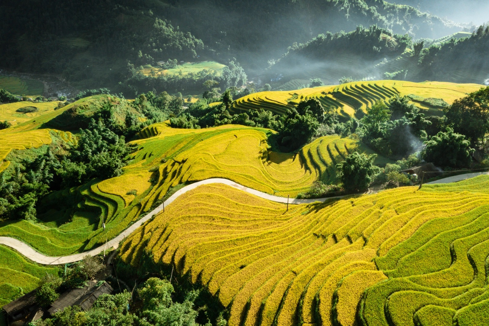 HANOI 6D5N PACKAGE : SAPA - NINH BINH - HALONG BAY ( SIC TOUR )