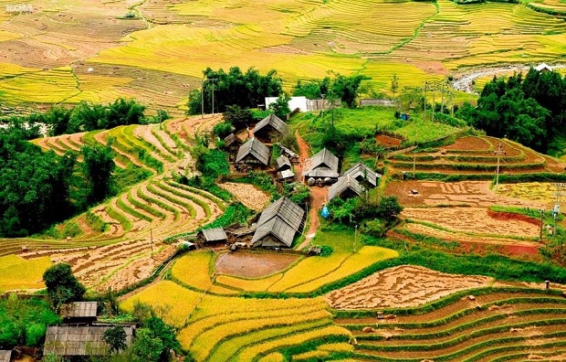 Hanoi 7D6N PACKAGE : SAPA  - NINH BINH  - HALONG BAY ( SIC TOUR ) 