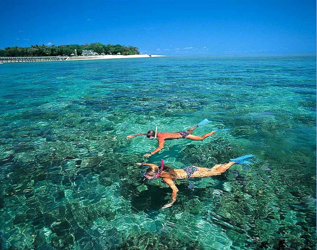 CHAM ISLAND FULL DAY 