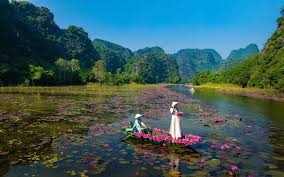 HOA LU -TAM COC -MUA CAVE 