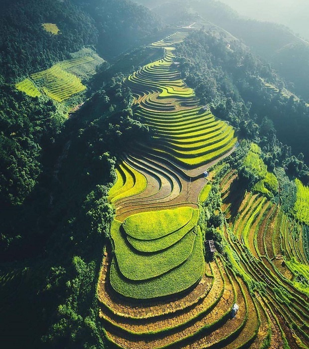 Hanoi 7D6N PACKAGE : SAPA  - NINH BINH  - HALONG BAY ( SIC TOUR ) 